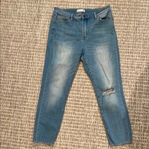 Vervet by Flying Monkey Ankle Cropped Jeans with Raw Hem